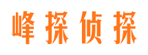 武冈市调查取证